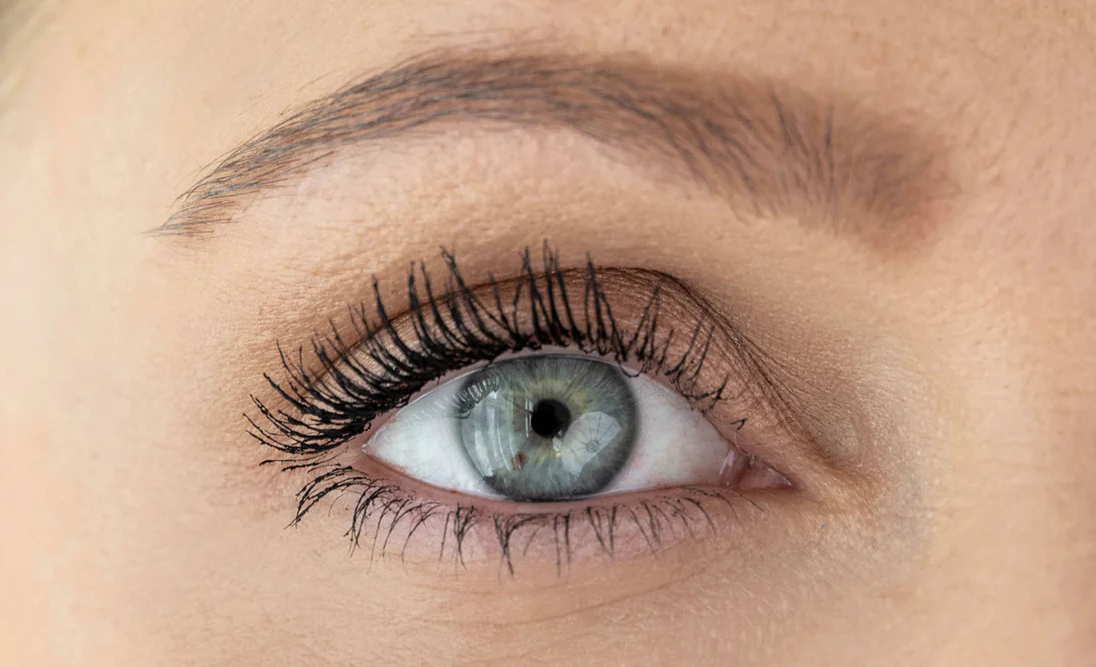 FRANSAR OCH ÖGONBRYN